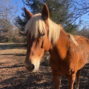 Meet your Posher, Darrell